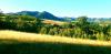 20210819_180128.jpg