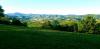 20210819_181134.jpg
