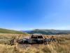 PSX_20210809_162614.jpg