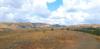 20220731_102037.jpg