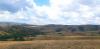 20220731_104046.jpg