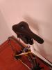 IMG_20220812_070645.jpg