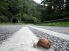 DSC07584.JPG