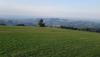 20180907_174224.jpg