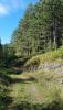 20180927_145638.jpg