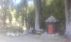 20190922_122436.jpg