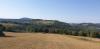 20190901_095914.jpg