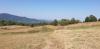 20190901_095919.jpg