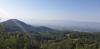 20190901_083911.jpg