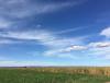 BC27C592-A036-4D08-83D5-EE7FA65800F7.jpeg