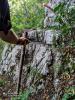 IMG_20200910_114808~2.jpg