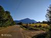IMG_20200906_172144~2.jpg