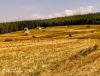 IMG_20200911_105745~2.jpg