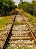 IMG_20200919_132502~2.jpg