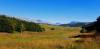 20200906_153320.jpg