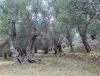 IMG_20210909_084725~2.jpg