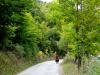 DSC01532.JPG