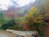 IMG_20191020_135559.jpg