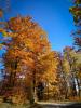 IMG_20211028_130454.jpg
