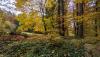 IMG-20211031-WA0001.jpg