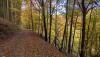 IMG-20211031-WA0003.jpg