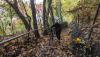 IMG-20211031-WA0011.jpg