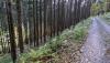 IMG-20211031-WA0004.jpg