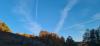 20221026_164140.jpg