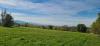 20221008_142157.jpg