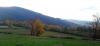 20221028_155044.jpg