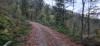 20231027_173834.jpg