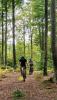 IMG-ca70a9de980b44a4522f309f50f41b77-V.jpg