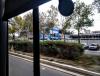 IMG_20191104_072724~3.jpg