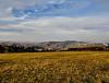 IMG_20191111_151049~2.jpg