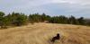 20191109_132512.jpg