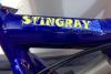 stingay-2046.jpg