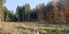 20201107_132702.jpg