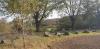 20201107_114537.jpg