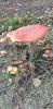 20201107_134404.jpg
