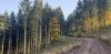 20201107_130950.jpg