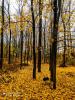 IMG_20201129_132926~2.jpg