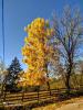 IMG_20201101_132021~2.jpg