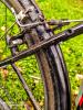 IMG_20201129_132340~2.jpg