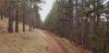 20201128_132144.jpg