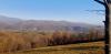 20201115_134008.jpg