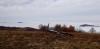 20201128_125216.jpg