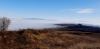 20201128_120915.jpg
