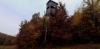 20201111_154038.jpg