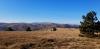 20201108_120713.jpg