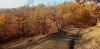 20201115_140220.jpg